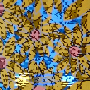 תמונת משתמש