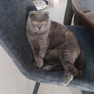 תמונת משתמש