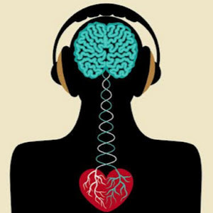 תמונת משתמש