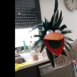 תמונת משתמש