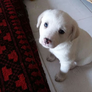 תמונת משתמש