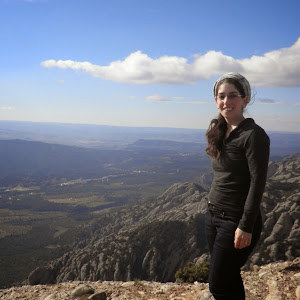 oritg20 - תמונה oritg20 - תמונה