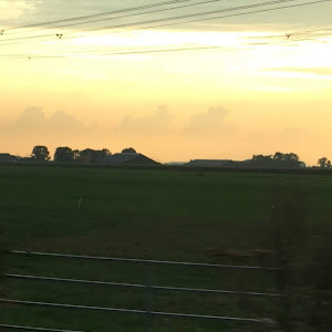 איילת - תמונה