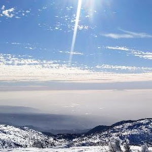 תמונת משתמש