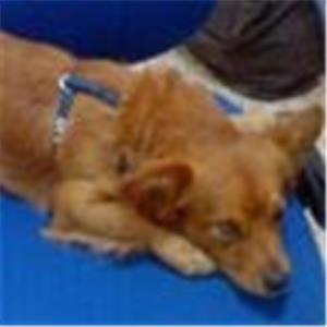 תמונת משתמש