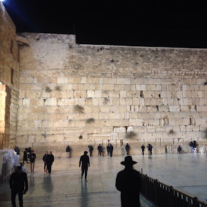 תמונת משתמש