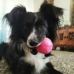 תמונת משתמש