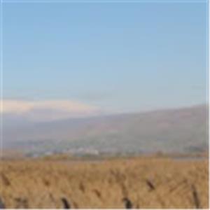 חוה - תמונה חוה - תמונה