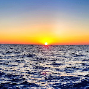 תמונת משתמש