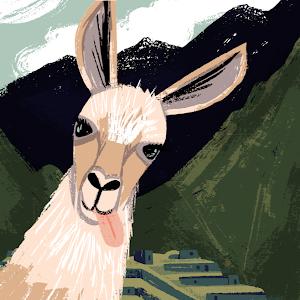 תמונת משתמש