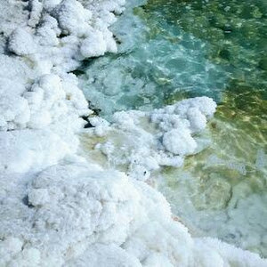 תמונת משתמש