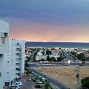 תמונת משתמש