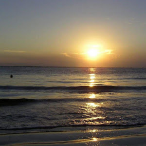 0548491564h - תמונה