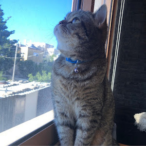 תמונת משתמש