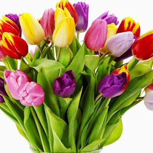 ataramoyal - תמונה