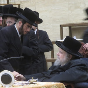 תמונת משתמש