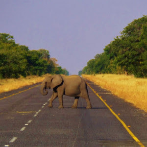 תמונת משתמש