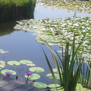 תמונת משתמש