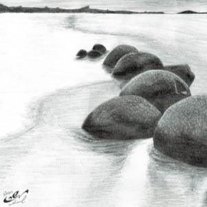 תמונת משתמש