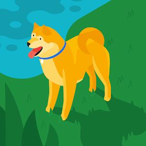 תמונת משתמש