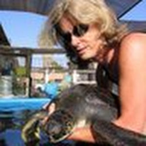 תמונת משתמש