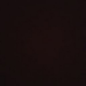 תמונת משתמש