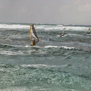 shevach23 - תמונה