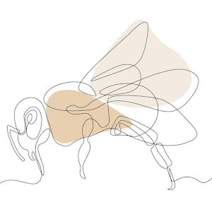 תמונת משתמש