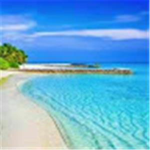 תמונת משתמש