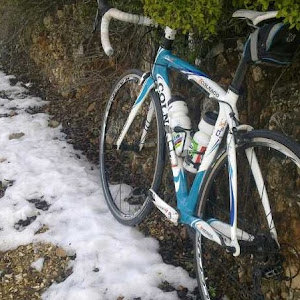 תמונת משתמש