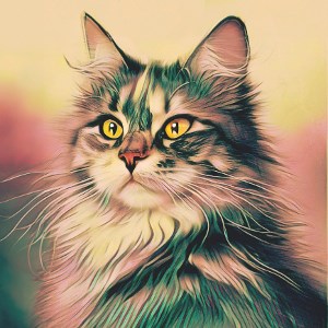 תמונת משתמש