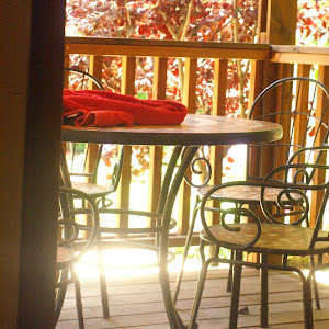 תמונת משתמש