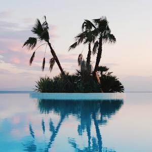 תמונת משתמש