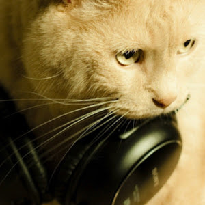 תמונת משתמש