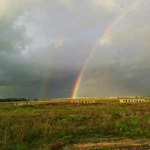 תמונת משתמש