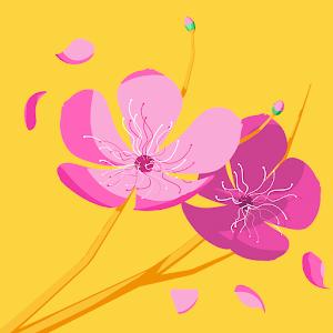 תמונת משתמש