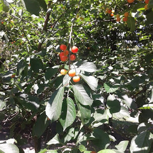 תמונת משתמש