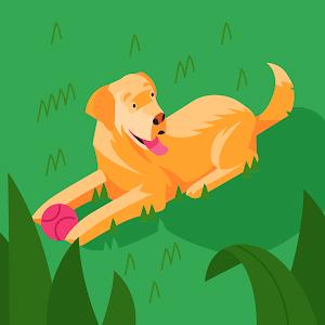 תמונת משתמש