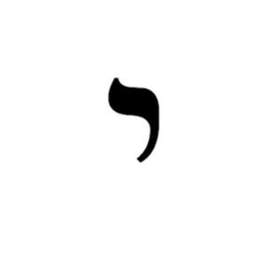 yael.bcpa