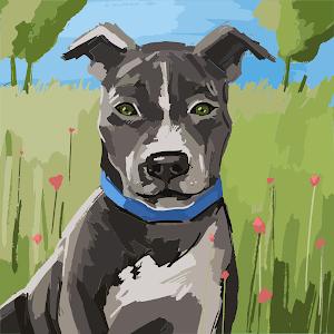 תמונת משתמש