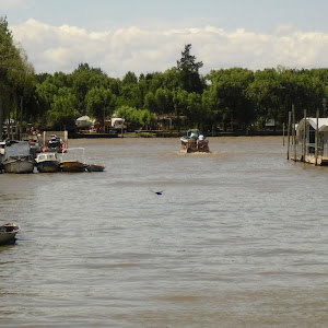 תמונת משתמש