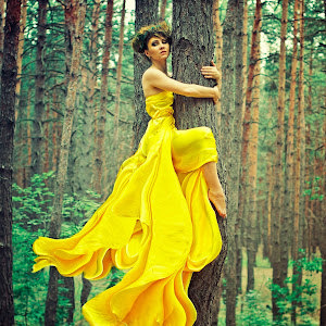 תמונת משתמש