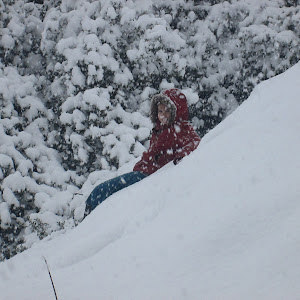 תמונת משתמש