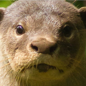 תמונת משתמש