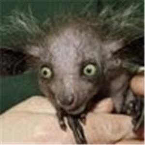 תמונת משתמש