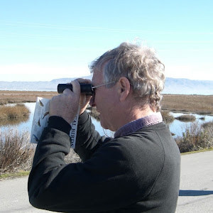 תמונת משתמש