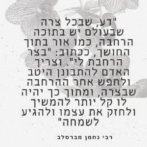 hanni31870 - תמונה
