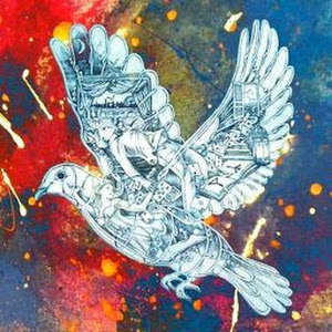 תמונת משתמש