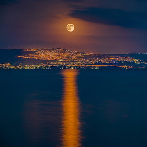 תמונת משתמש