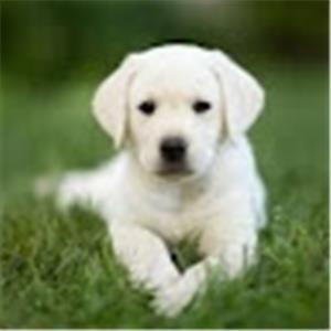 תמונת משתמש